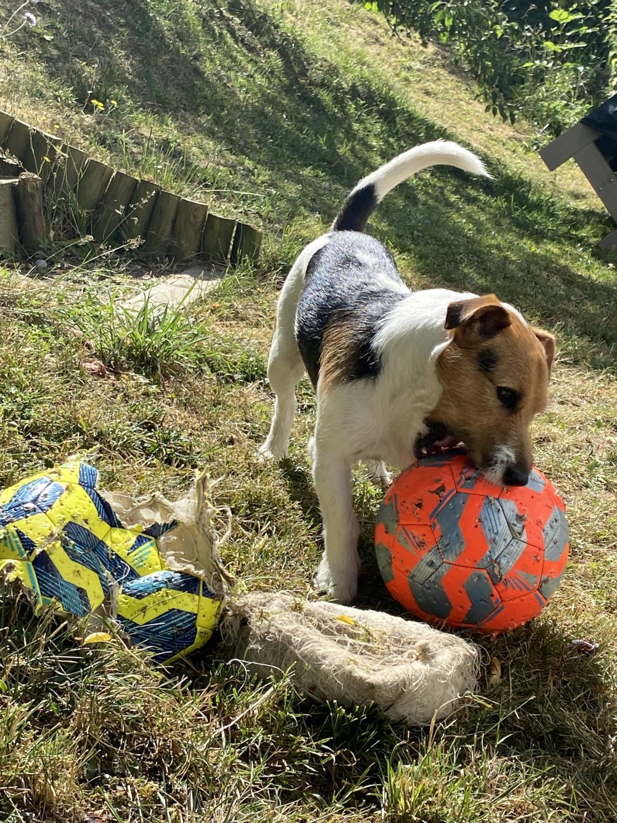 Perfetto per la scuola calcio
