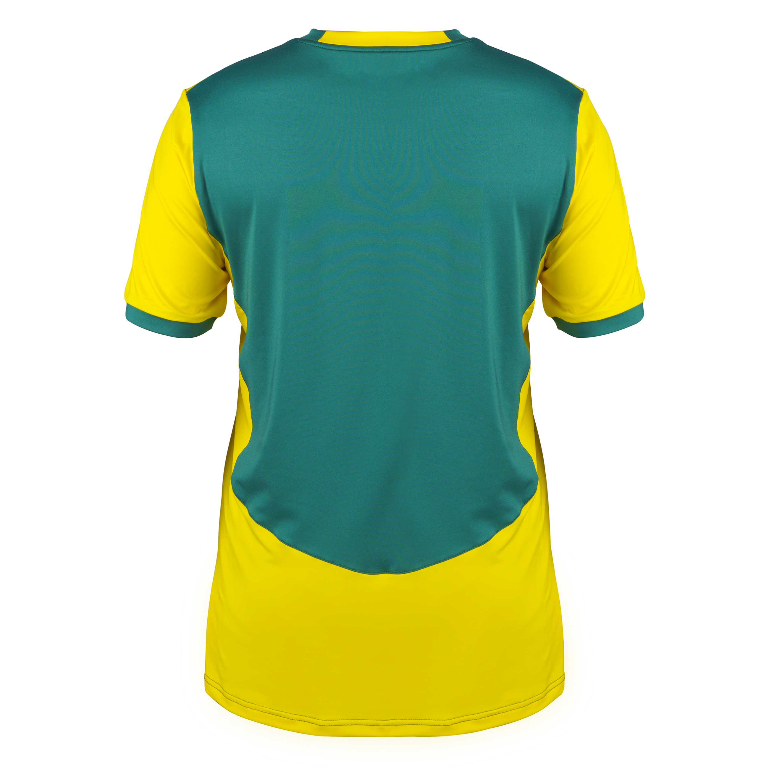 gray-nicolls-pro-performance-maglia-t20-countesthorpe-cc-senior-verde-giallo-man image 2