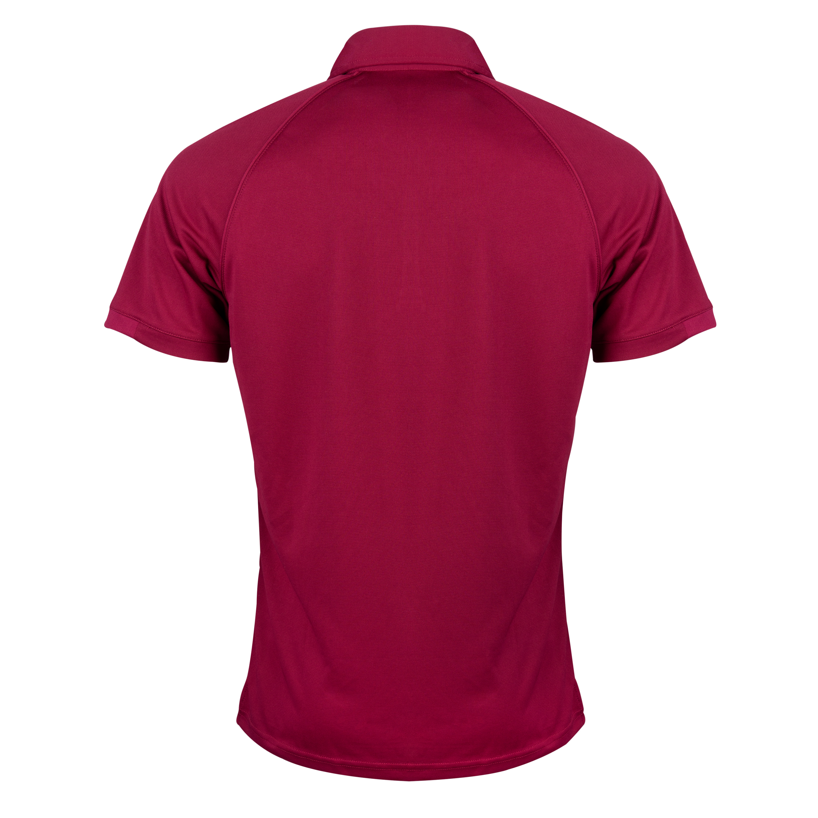 gray-nicolls-matrix-v2-polo-s-s-junior-chorley-district-cc-bordeaux image 2