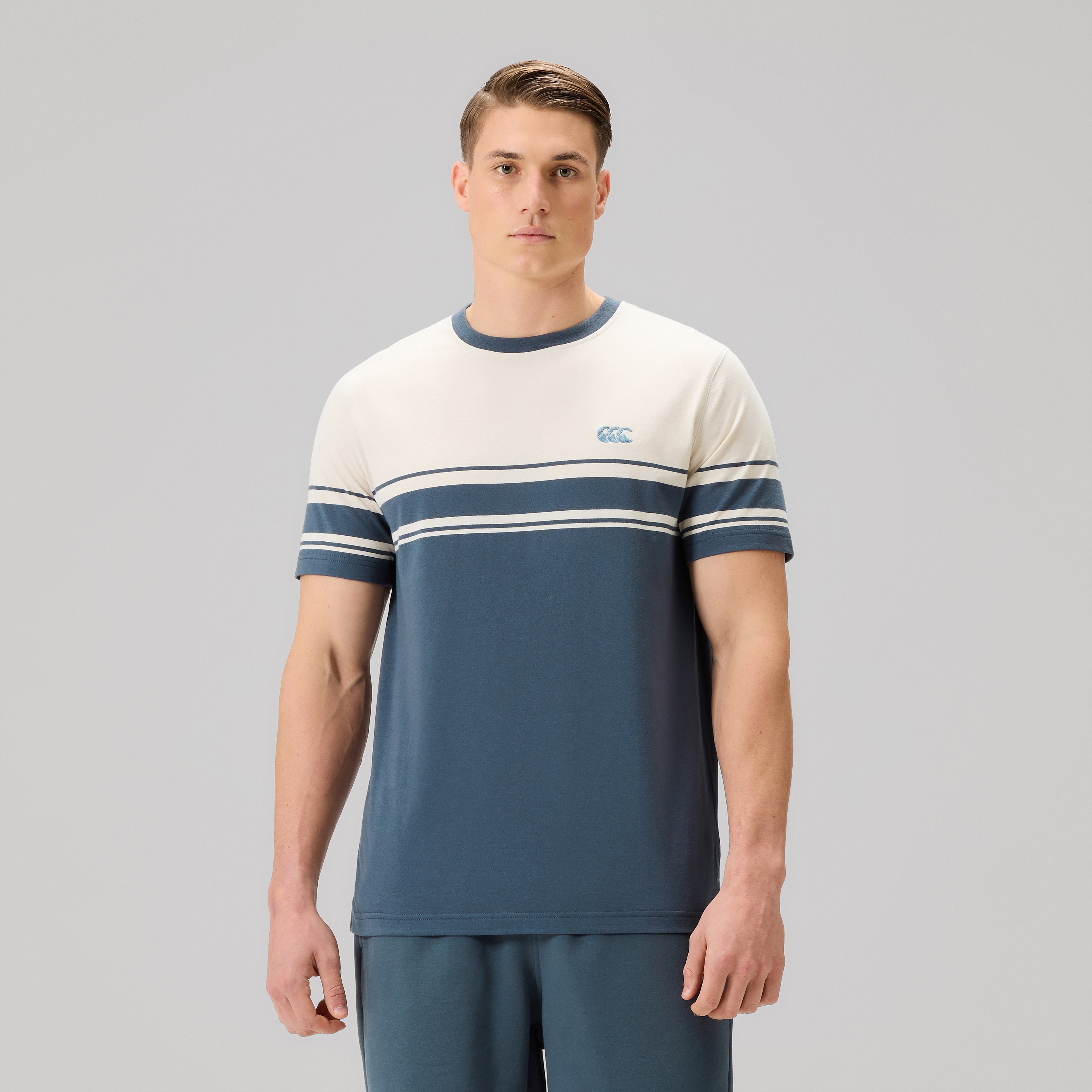 canterbury-everyday-stripe-tee-uomo-t-shirt-a-righe-grigia image 3