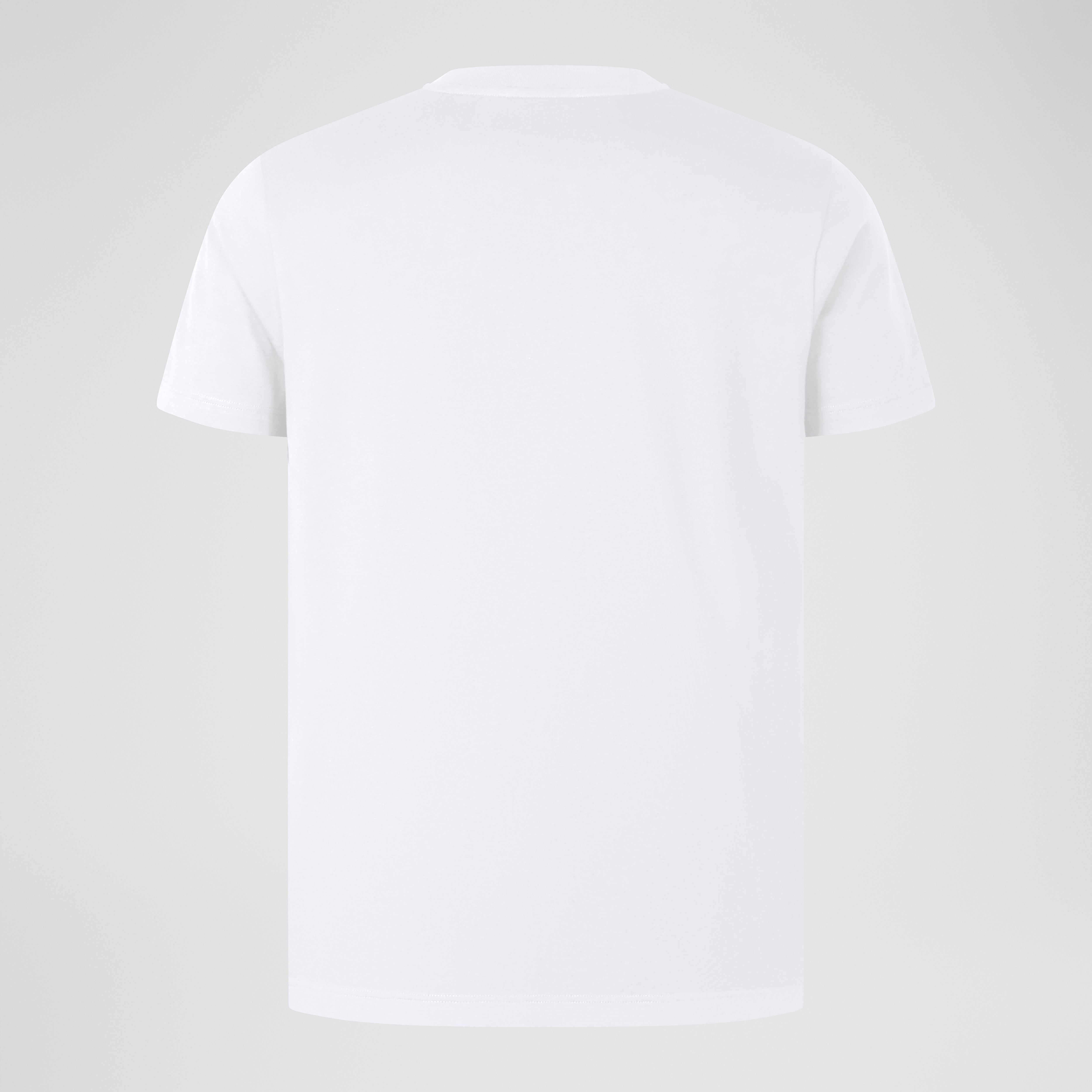 canterbury-ccc-cotton-logo-tee-uomo-white-t-shirt-in-cotone image 2
