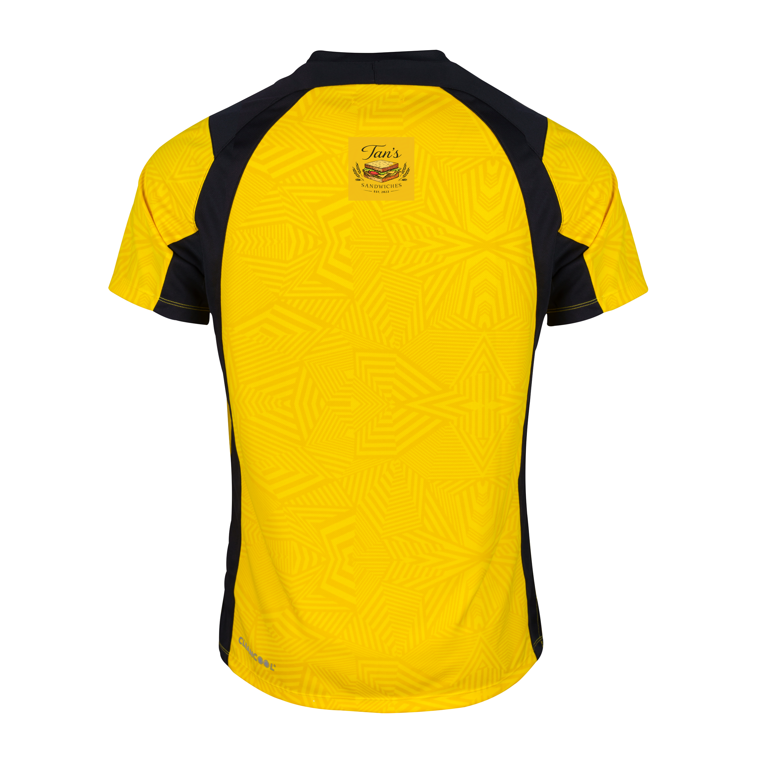 gray-nicolls-carmel-and-district-cc-pro-t20-maglia-s-s-senior-giallo-nero image 2