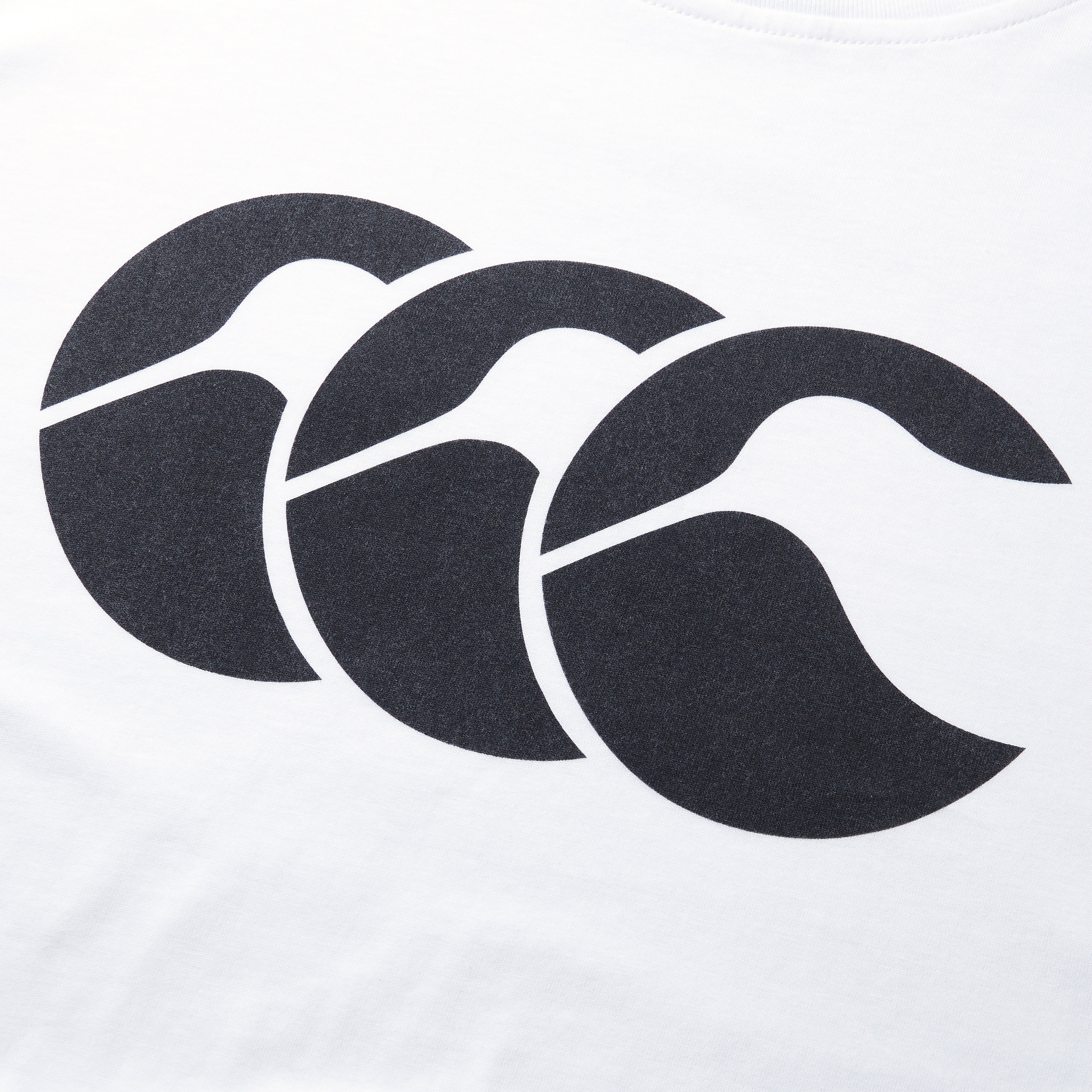 canterbury-ccc-cotton-logo-tee-uomo-white-t-shirt-in-cotone image 4
