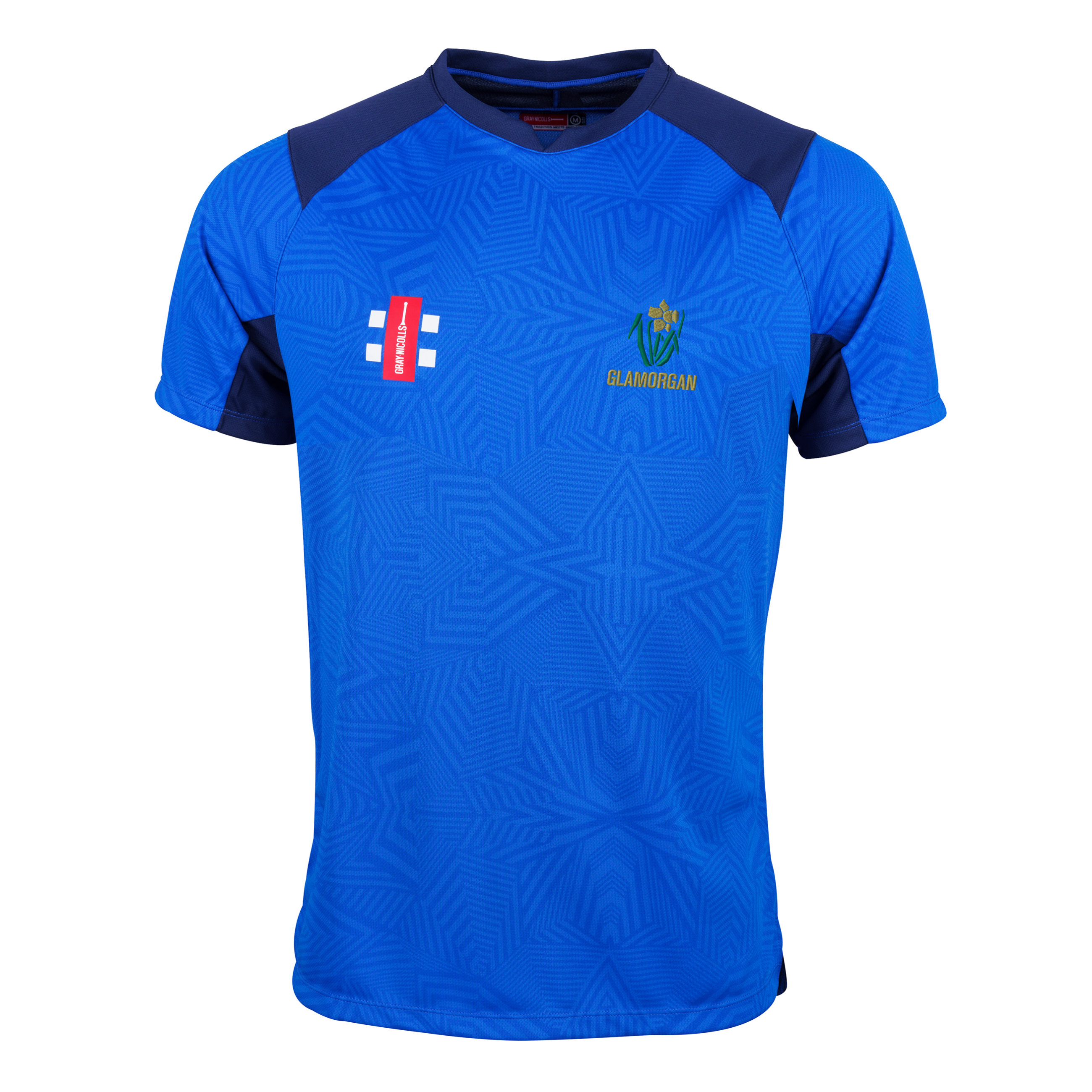 gray-nicolls-pro-performance-v2-maglia-cricket-t20-junior-glamorgan-pathway-roya image 1