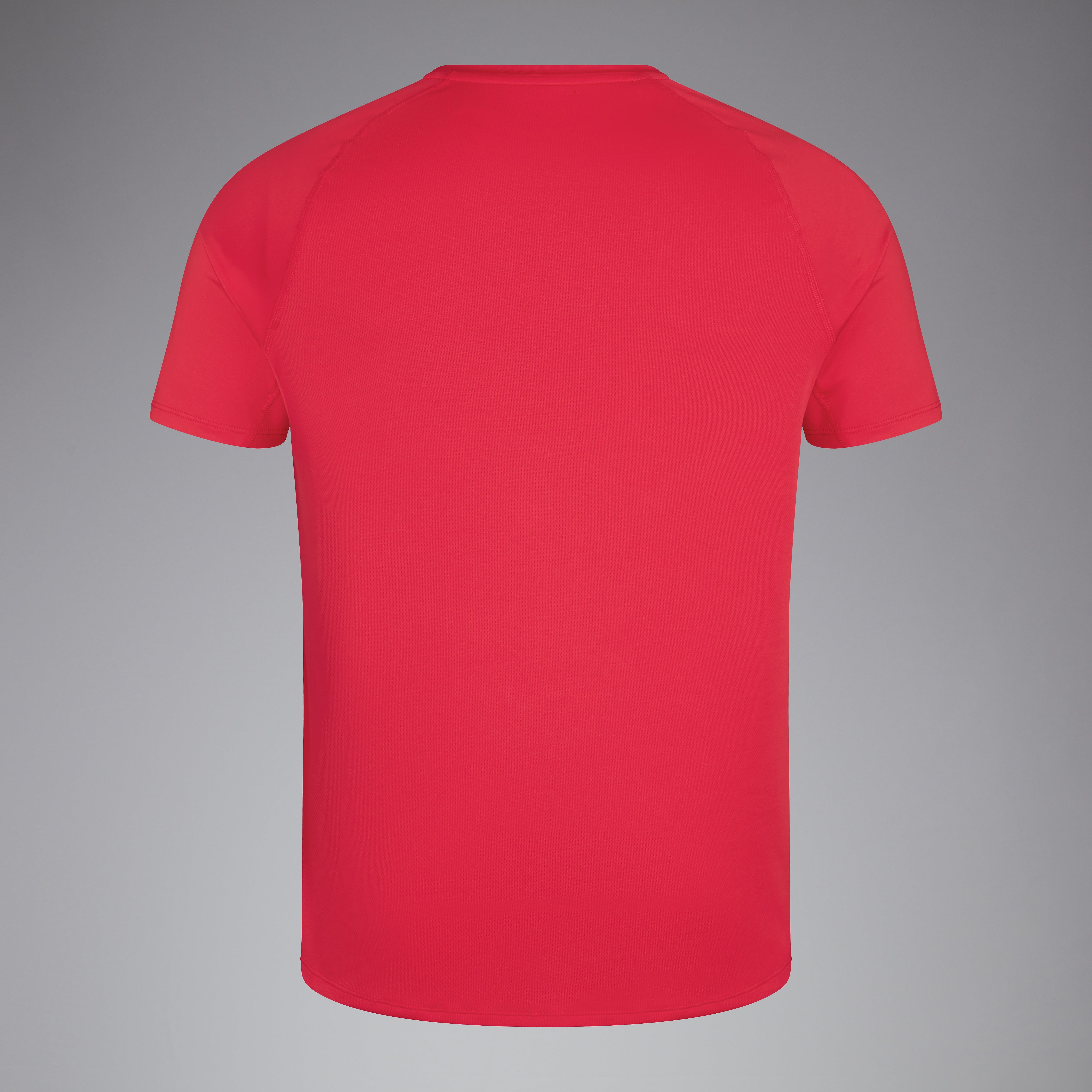 canterbury-large-logo-superlight-t-shirt-uomo-rosso image 2