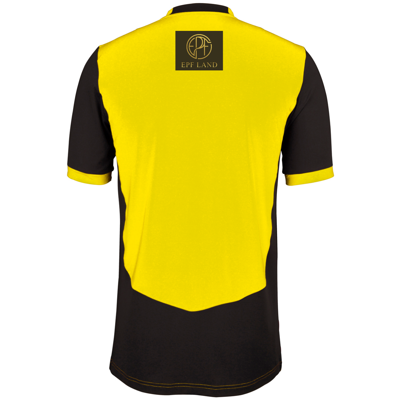 gray-nicolls-tamworth-women-girls-senior-pro-performance-maglia-t20-manica-corta image 2