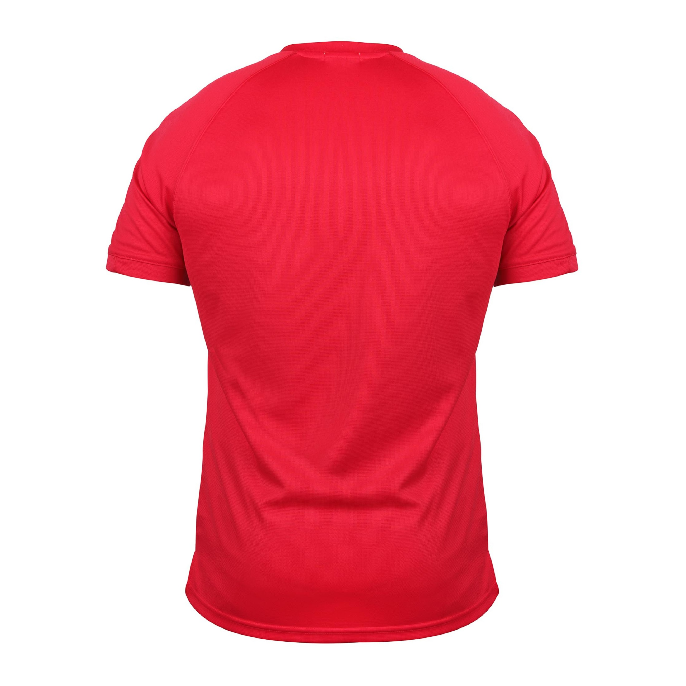 gray-nicolls-city-of-london-school-senior-matrix-v2-s-s-tee-rossa-t-shirt-cricke image 2