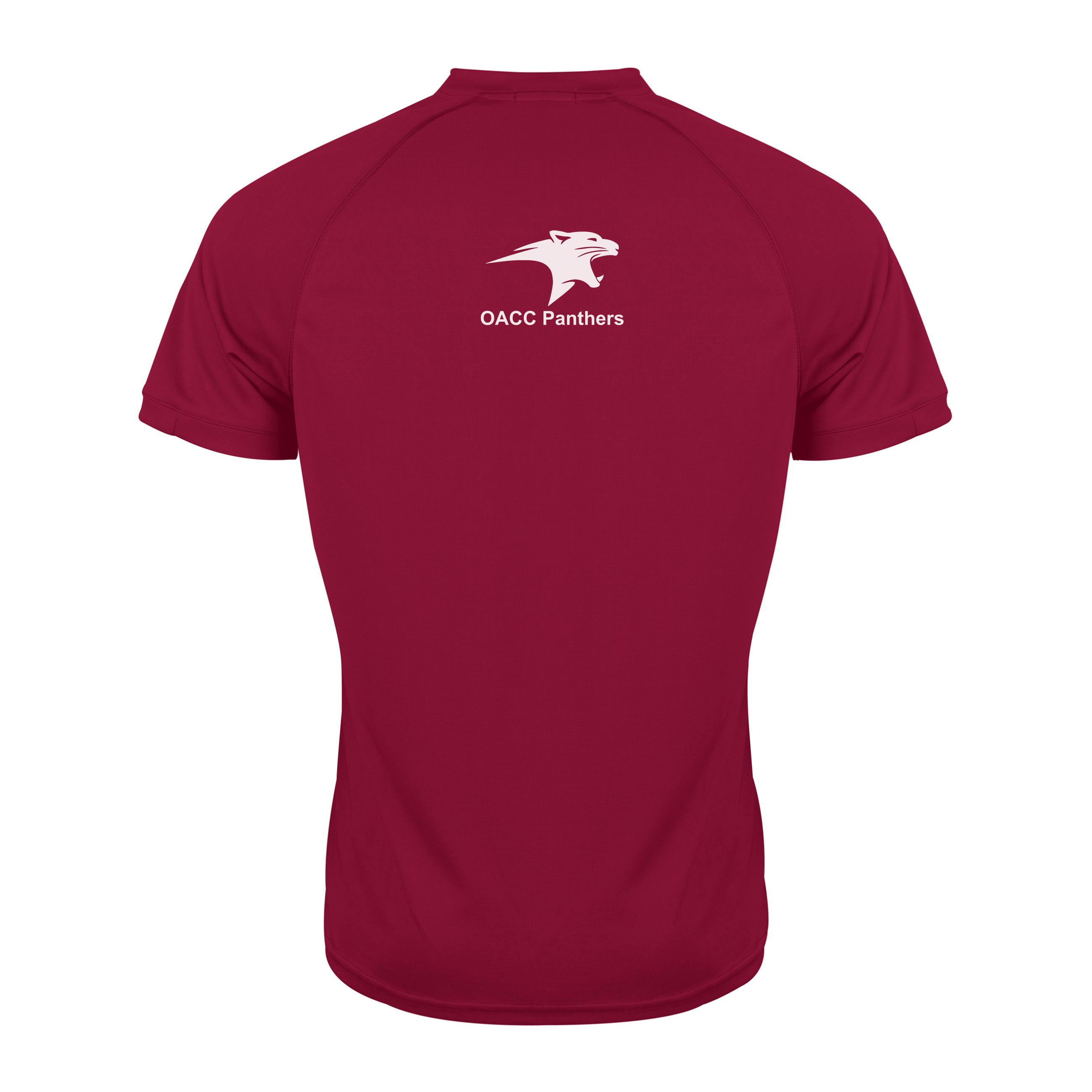 gray-nicolls-old-albanian-cc-matrix-v2-t-shirt-bordeaux-manica-corta image 2