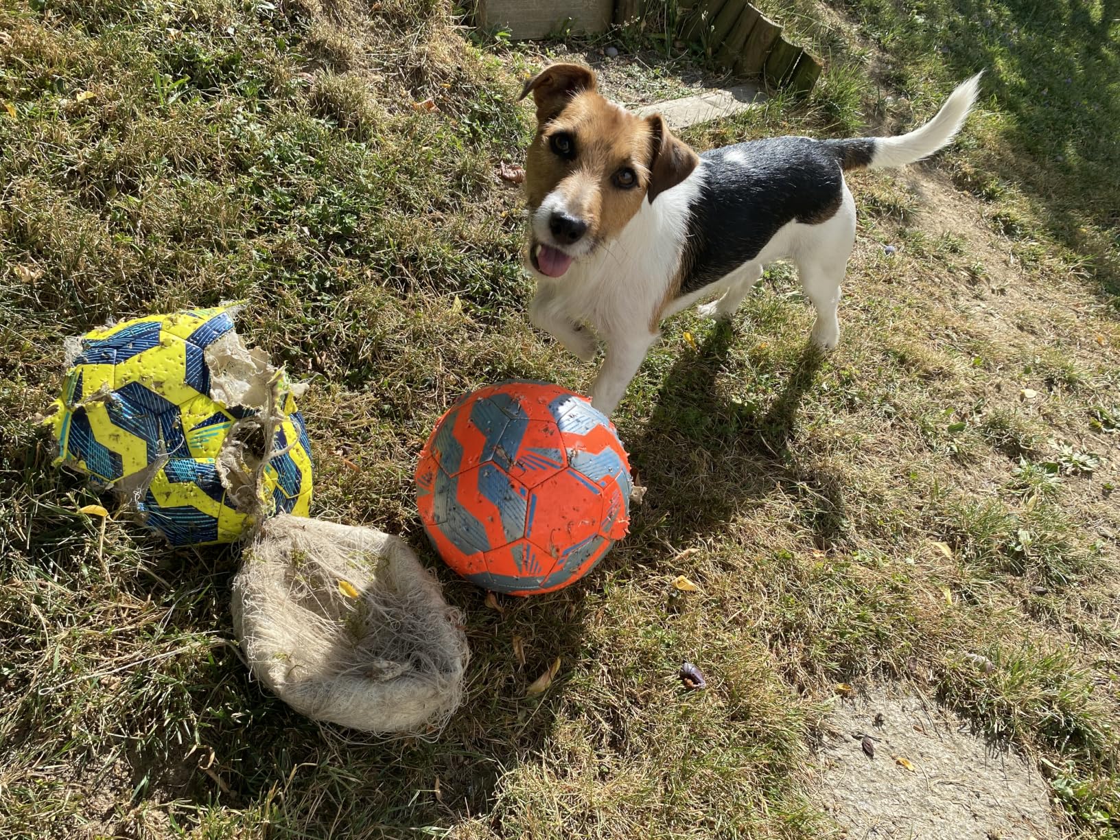 Pallone resistente e preciso
