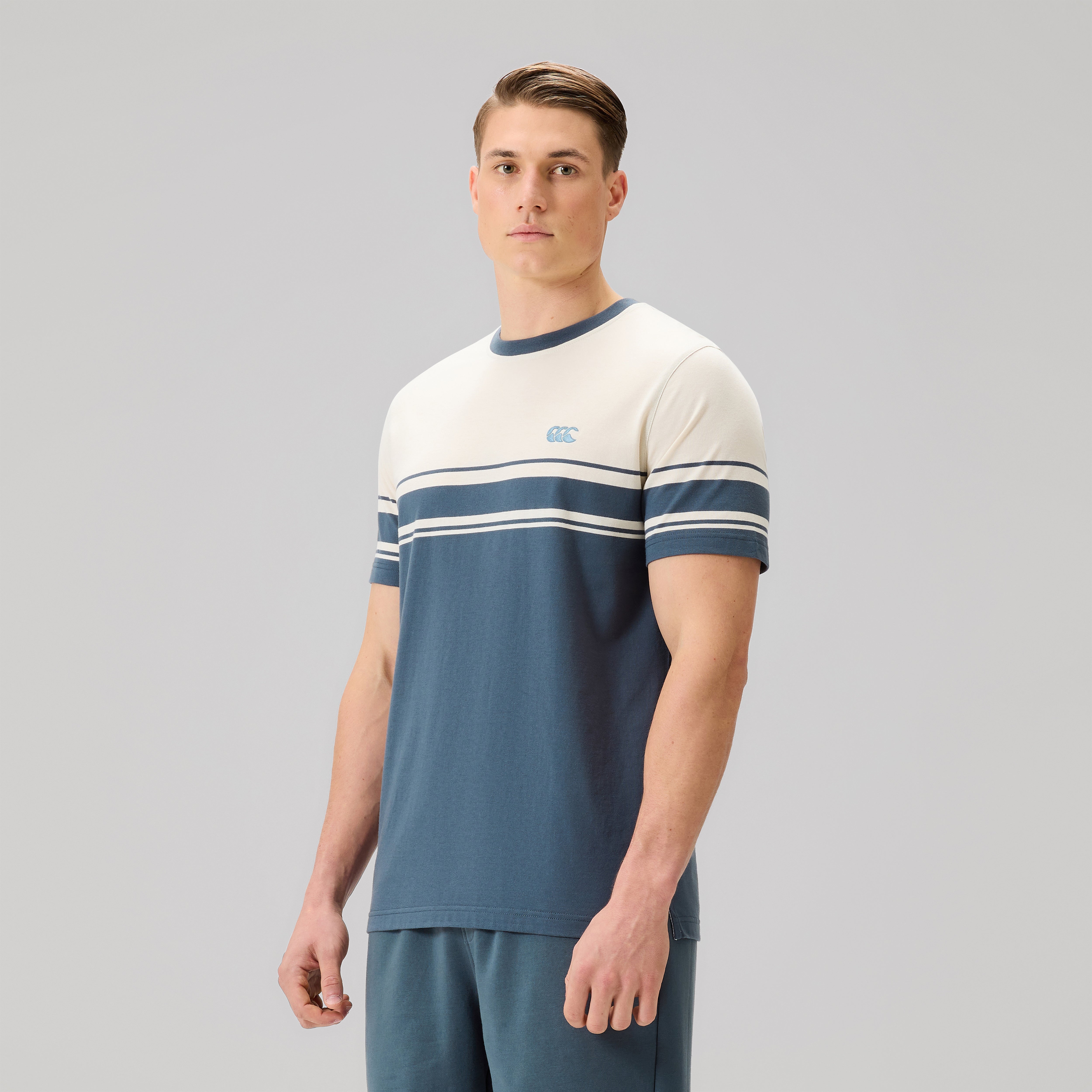 canterbury-everyday-stripe-tee-uomo-t-shirt-a-righe-grigia image 4