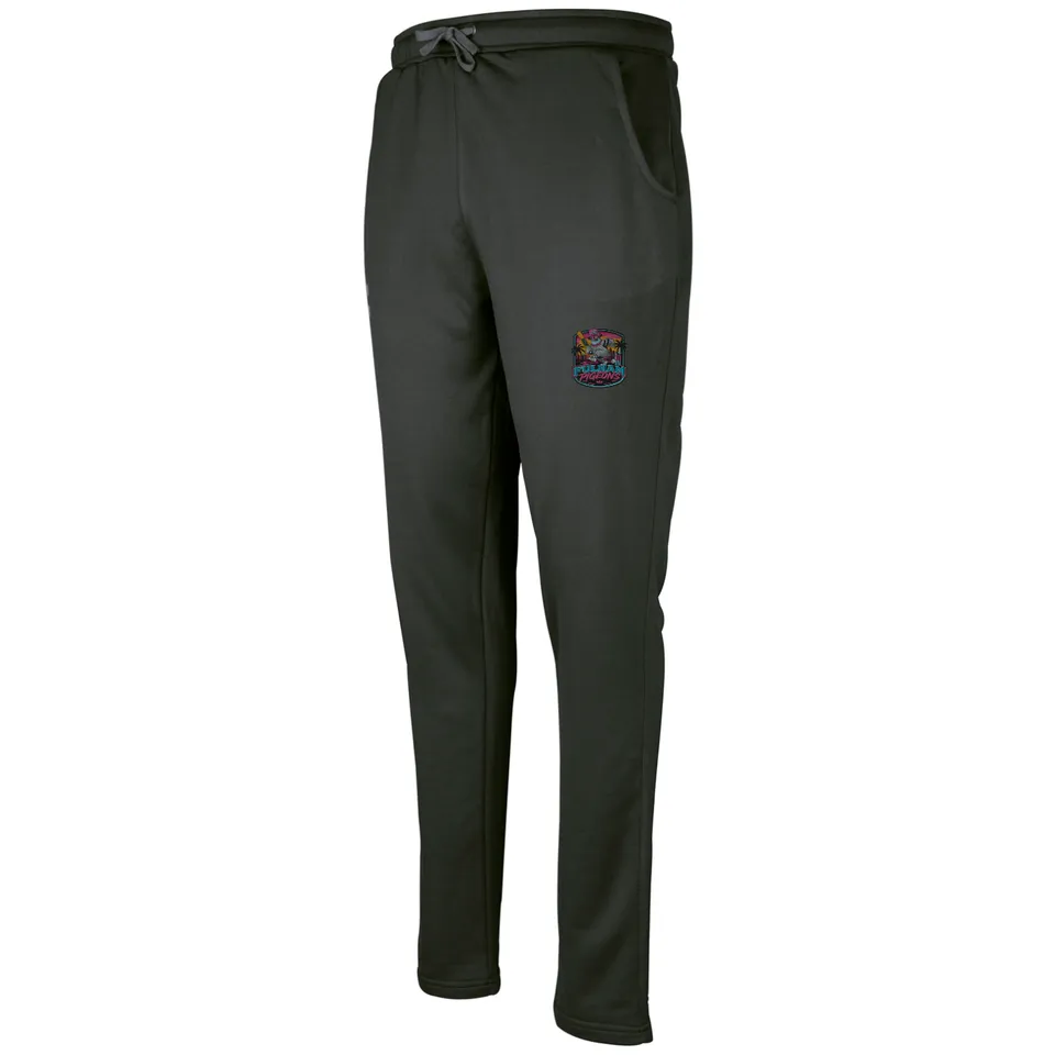 gray-nicolls-fulham-pigeons-cc-senior-pantaloni-training-pro-performance-neri image 1