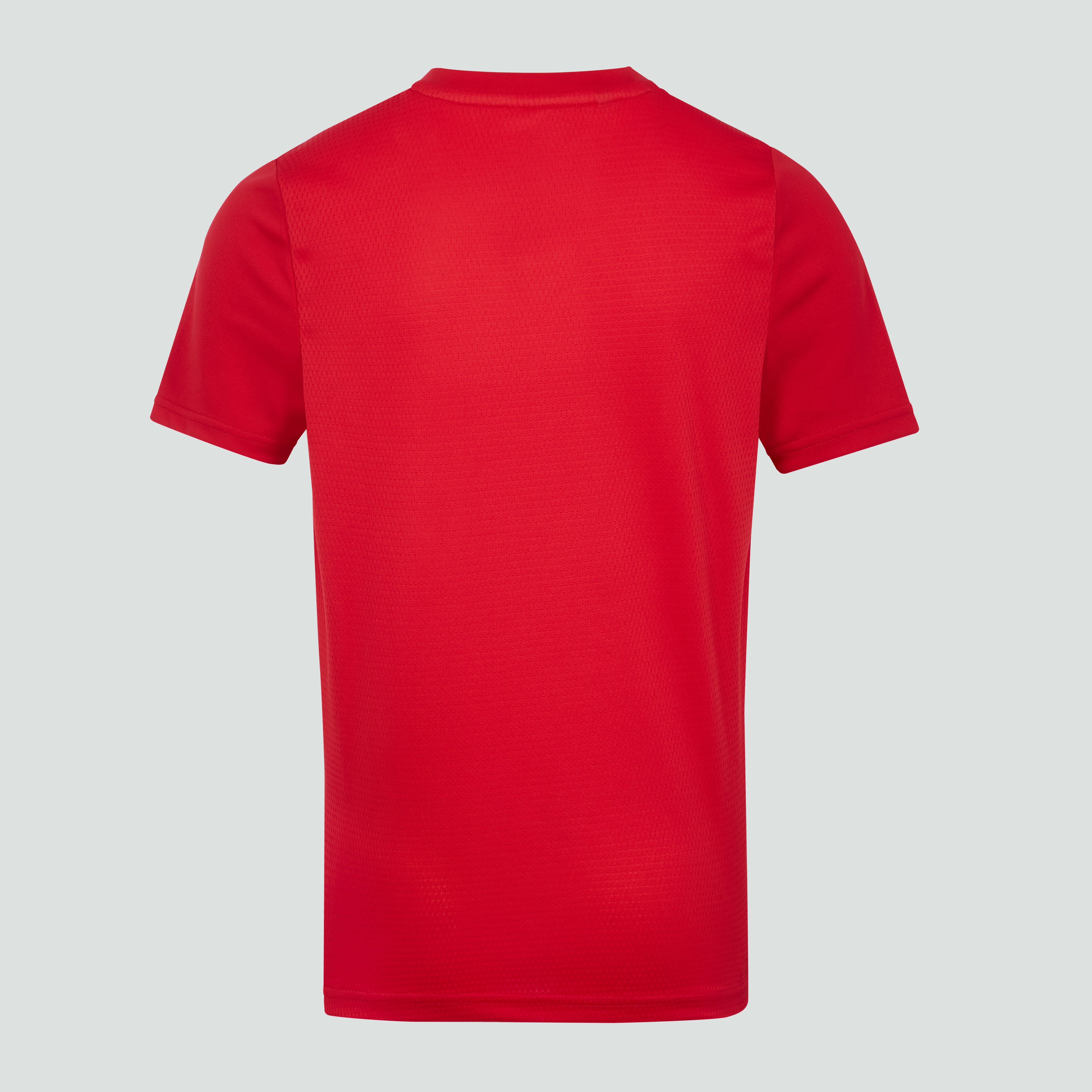 canterbury-club-dry-t-shirt-junior-unisex-rosso image 4