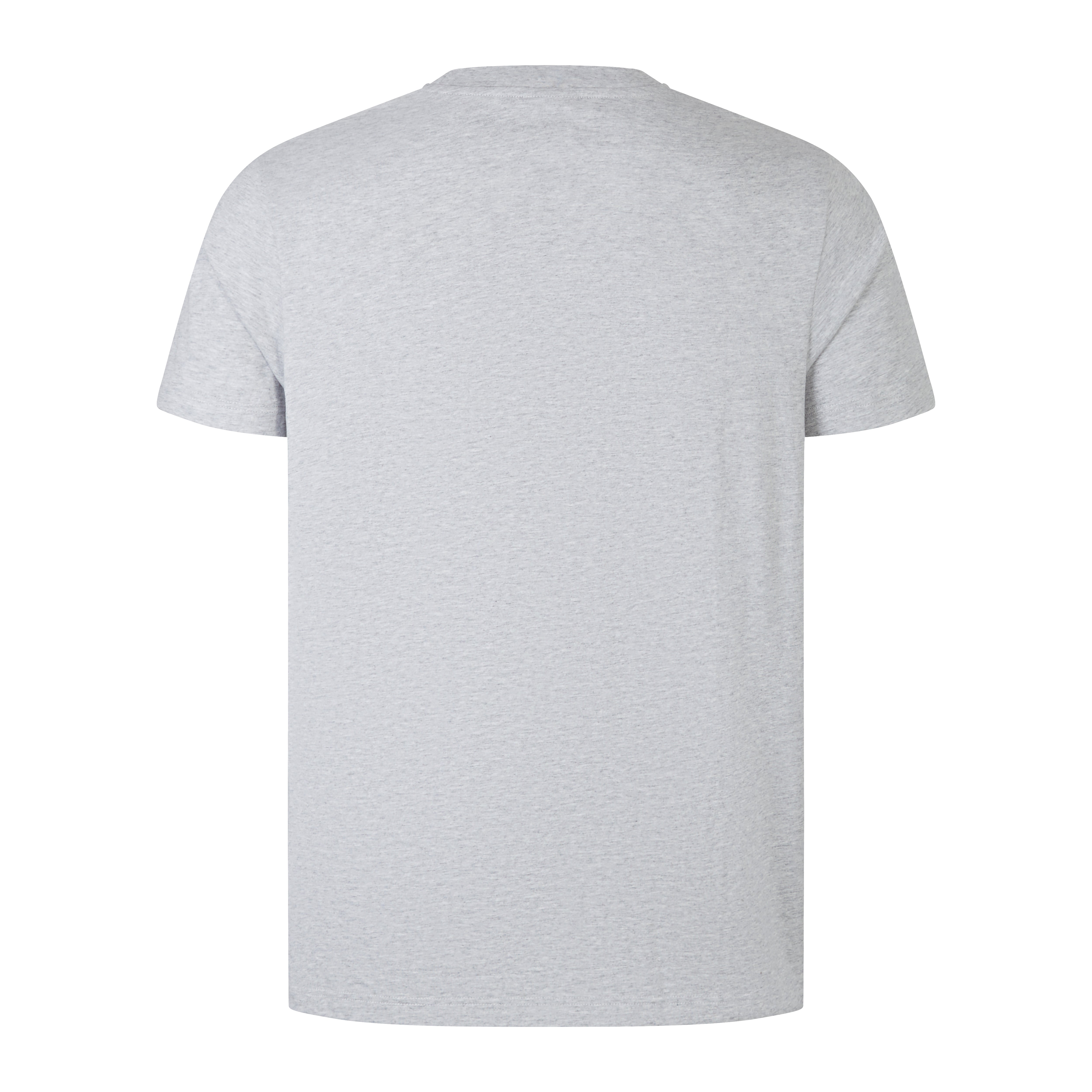 canterbury-ccc-cotton-logo-tee-uomo-grigio image 2