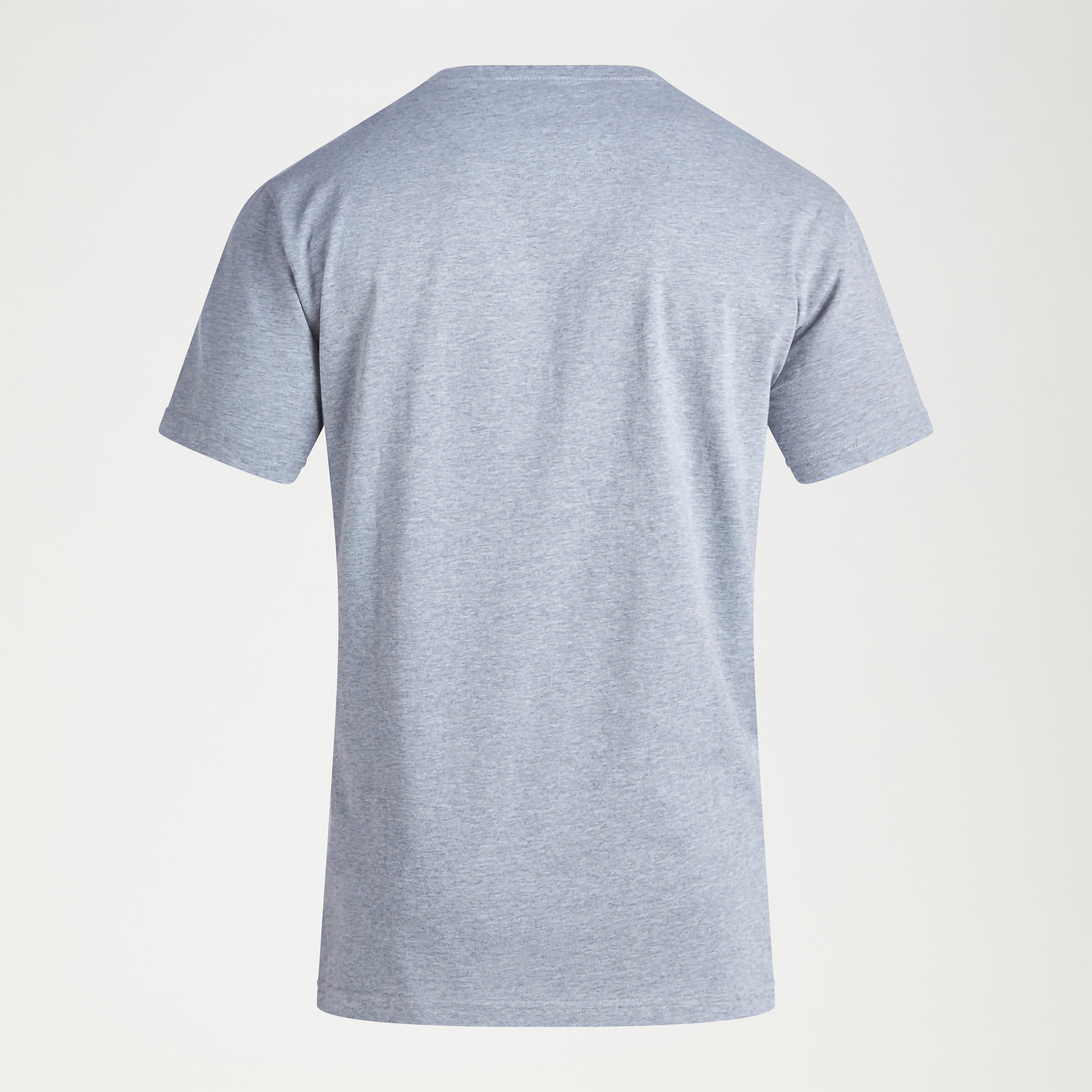 canterbury-ccc-logo-tee-uomo-t-shirt-grigia image 6