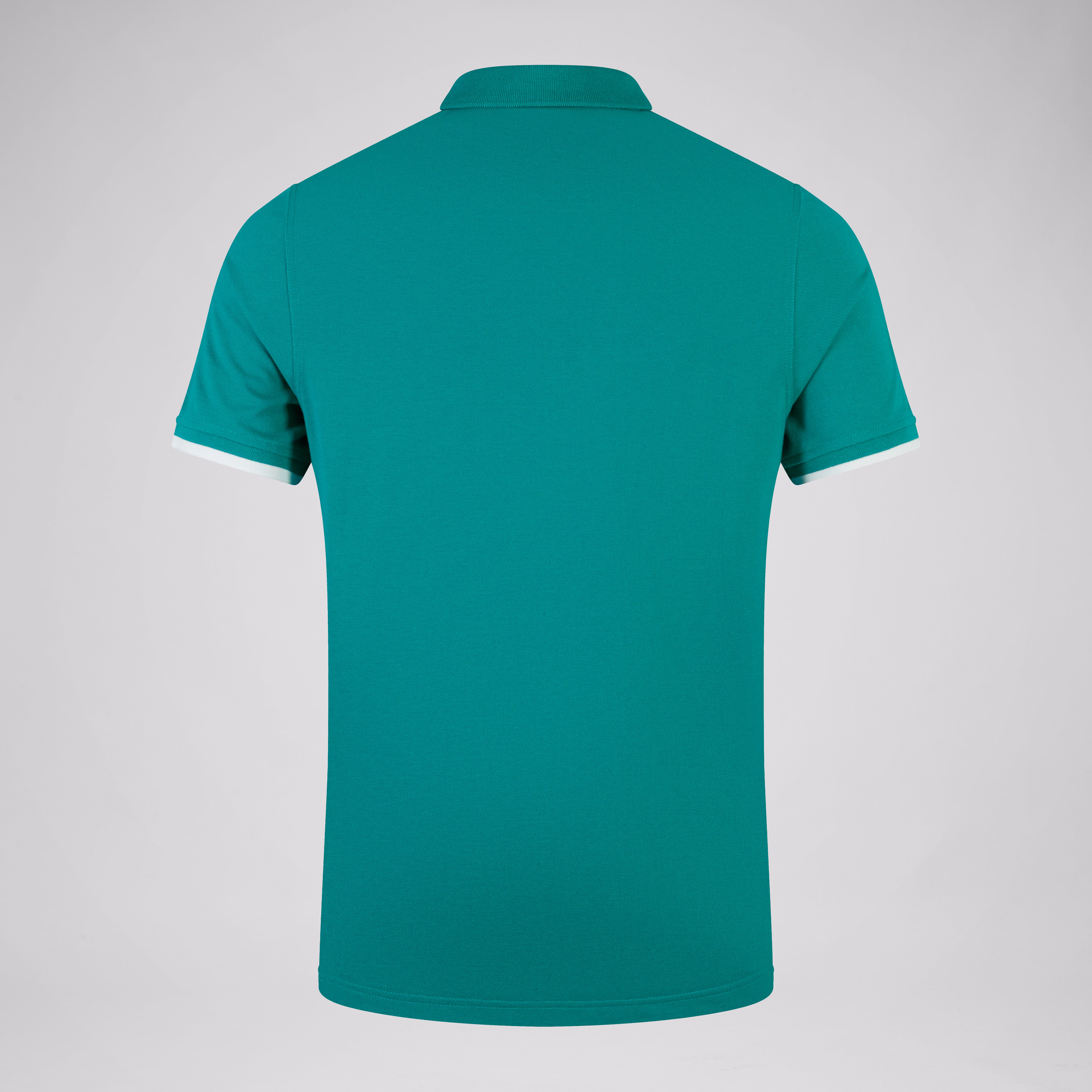 canterbury-ireland-team-polo-shirt-uomo-verde-bianco image 2